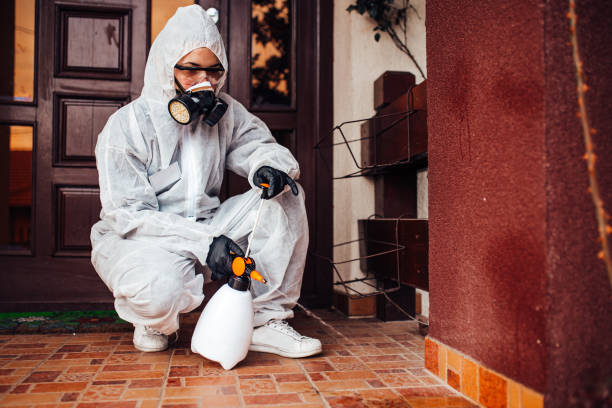 Reliable Bed Bug Control contractor in Shady Shores, TX by Nex Pest Control