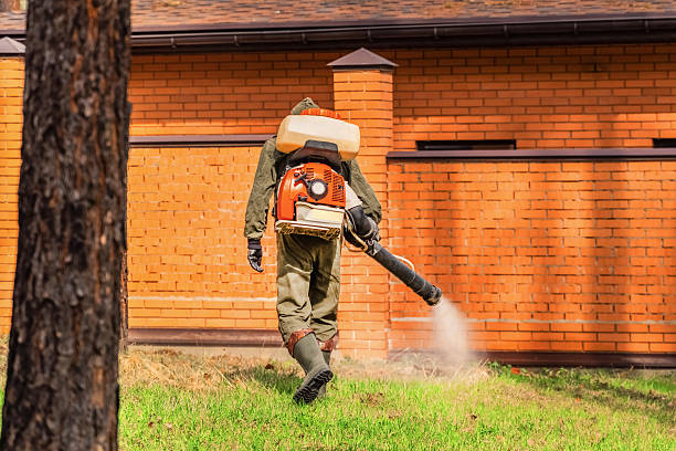 Trusted Emergency Pest Control service in Shady Shores, TX - Nex Pest Control